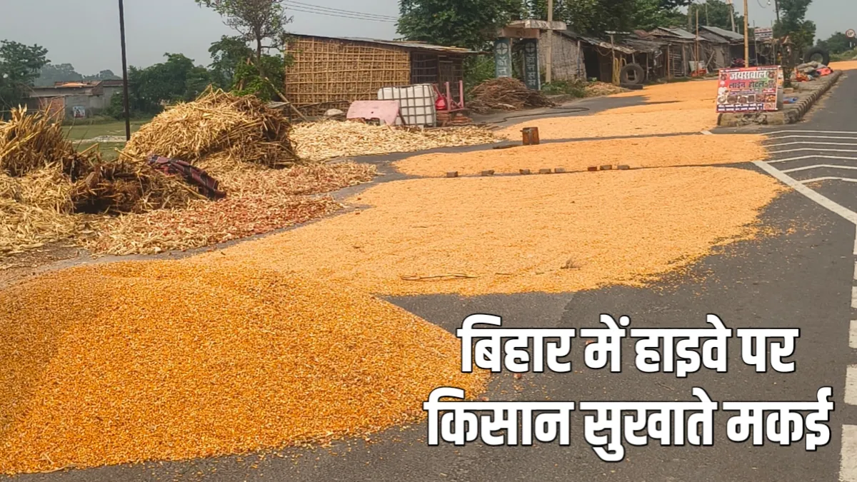 बिहार के नेशनल हाईवे 27 पर किसानों का आतंक। जानिए पूरी मामला क्या है
